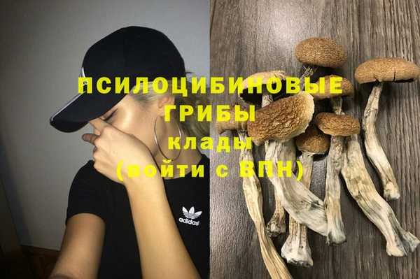 марки lsd Алексеевка