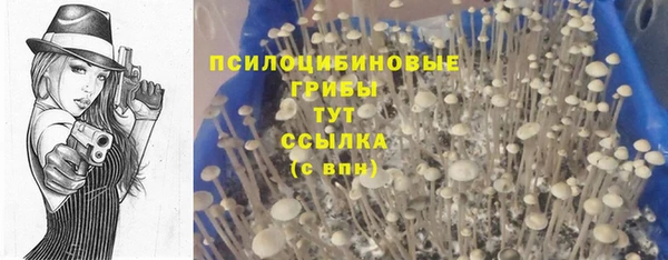 марки lsd Алексеевка