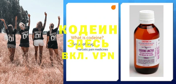 прущие грибы Карталы