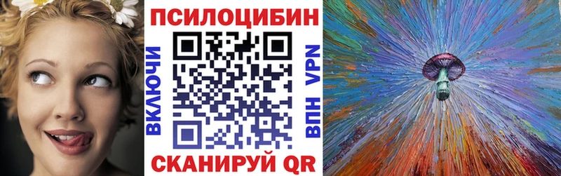 купить  цена  Тогучин  Галлюциногенные грибы Psilocybine cubensis 