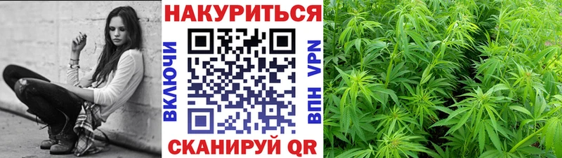 Конопля Amnesia kraken ССЫЛКА Тогучин